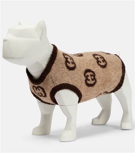vêtement pour chien gucci